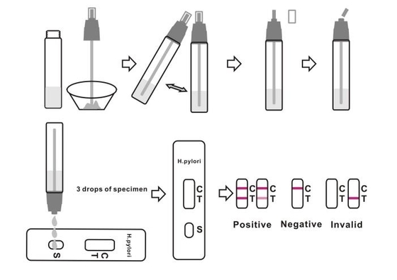 Penyakit Menular H Pylori Stool Test Kit Helicobacter Pylori Antigen Instan