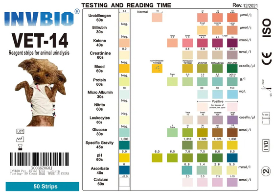 Merek INVBIO Pengiriman Cepat VET Pet Urine Test Strips 14 Parameter Super Market