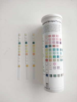 Tes Urinalisis Fsc Strip 10 Parameter 100 Strip/Botol