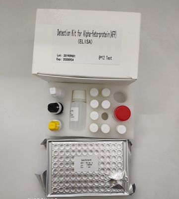 Kuantitatif Alpha Fetoprotein Elisa Detection Kit AFP Dalam Serum Manusia