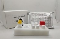 Serum Plasma Tes Diagnostik Igg Elisa Kit Untuk Antigen Inti Hepatitis B