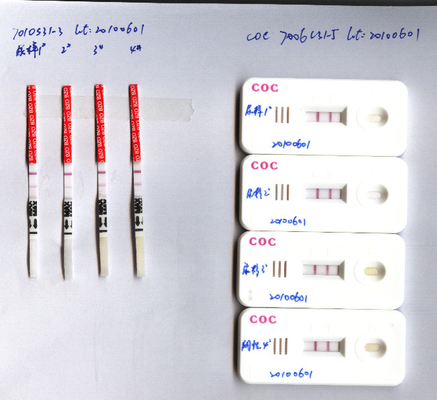 Beranda CLO Clonazepam Urine Alat Uji Penyalahgunaan Narkoba 400ng/Ml