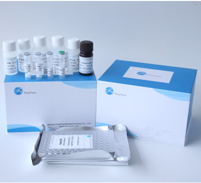 Alat Uji Elisa Faktor Pertumbuhan Plasenta PLGF