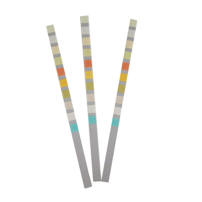 Glucose Bilirubin 10 Parameter Reagen Test Strips urine dipstick