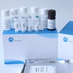 Kit Elisa Bersertifikat Fsc Manusia Ifnw1 Interferon Omega-1